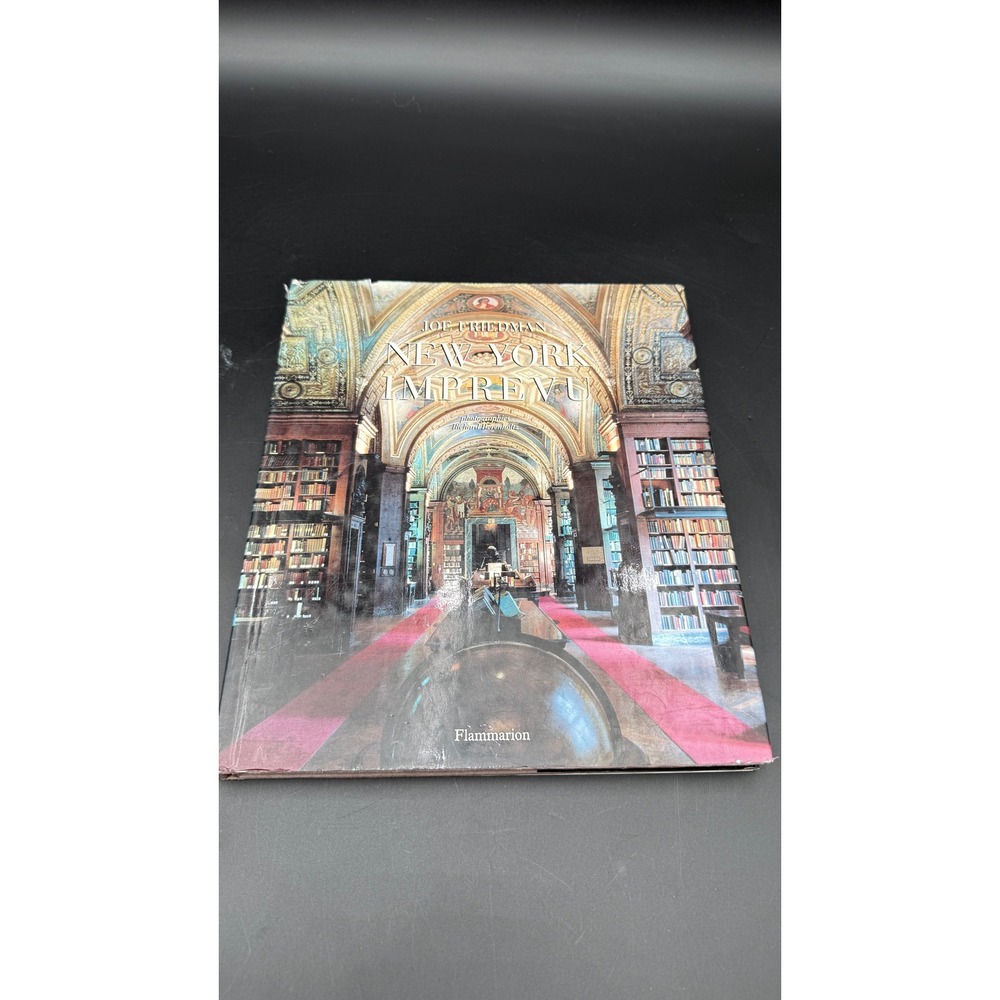 New York Imprevu Joe Friedman Richard Berenholtz Flammarion 1992 French Edition